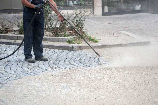 Best Residential Exterior Washing  in Mathews, LA